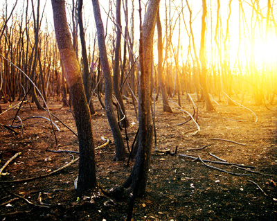  Jean=Louis TORNATO [Burned Land]