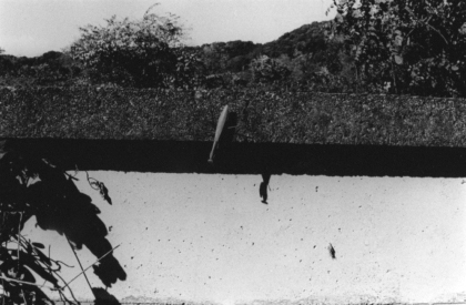 野村昌平写真展 Nomura Shohhei 「afternoon 」