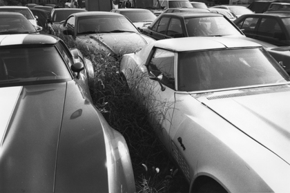 木村英一郎写真展 Kimura Eiichiro 「Little Wing 」