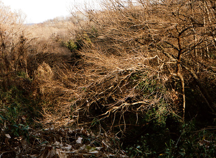  小池俊起 Koike Toshiki   「escape from the past 」