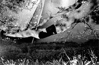 濱浦しゅう Hamaura Shu 「空音 sorane 」