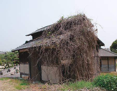  大川良平 Ryohei Okawa 「ザワメキ」